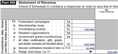 Part VIII Form 990 Reporting